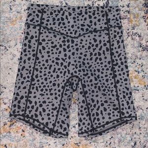 Ascend Rider Short- Kingdom- Snow Leopard